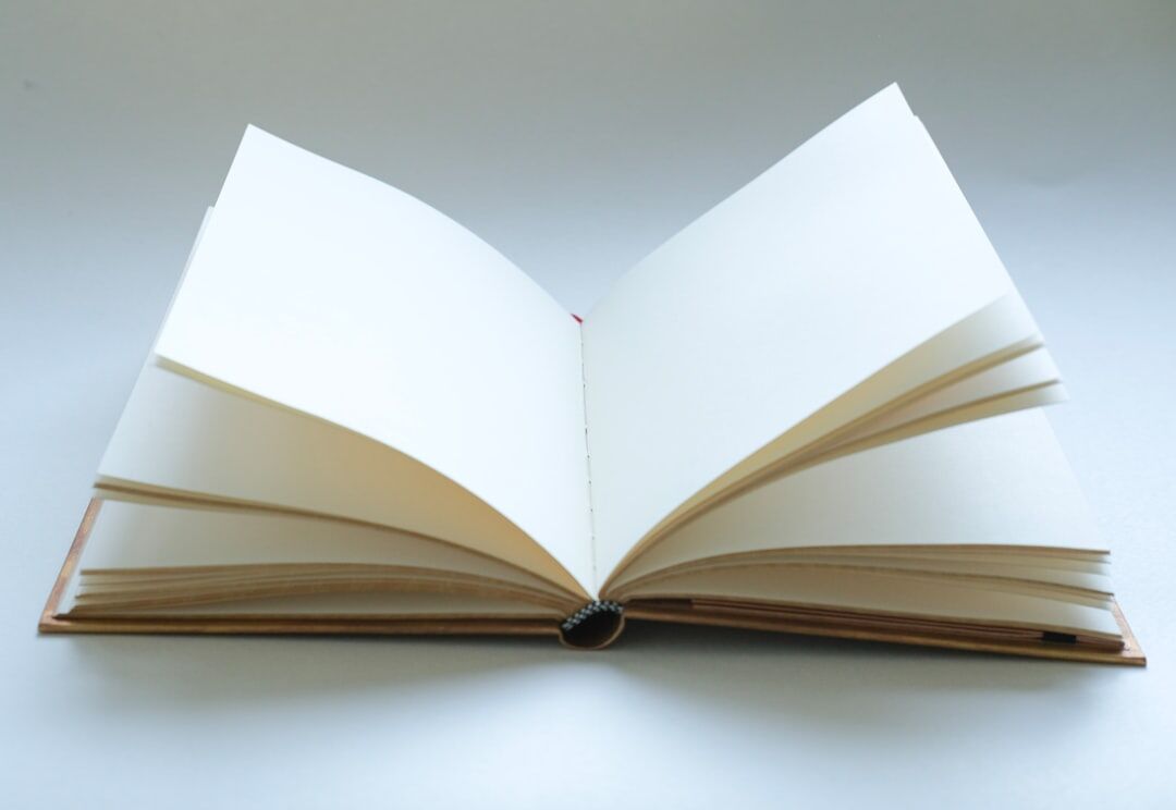 mystery book with twist ending
